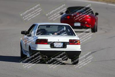 media/Nov-19-2023-Extreme Speed (Sun) [[bd0eec5490]]/Purple/Back Shots/